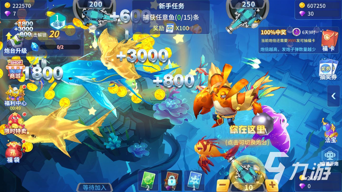 公司简介