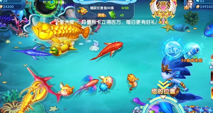 星力十代游戏平台